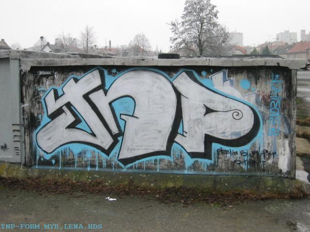 7557116.jpg