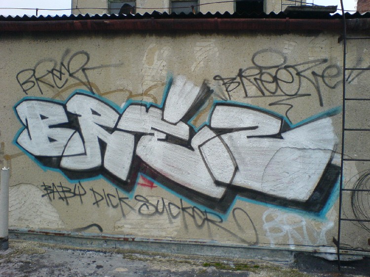 7566917.jpg